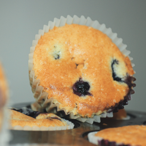 Blueberry Muffins 